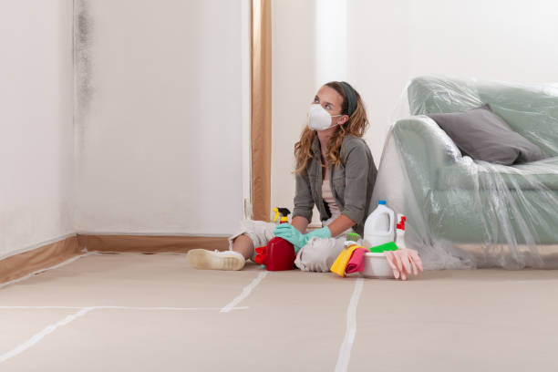 Reliable Basement Mold Remediation contractor in Saratoga, NC by Car Mold Remediation